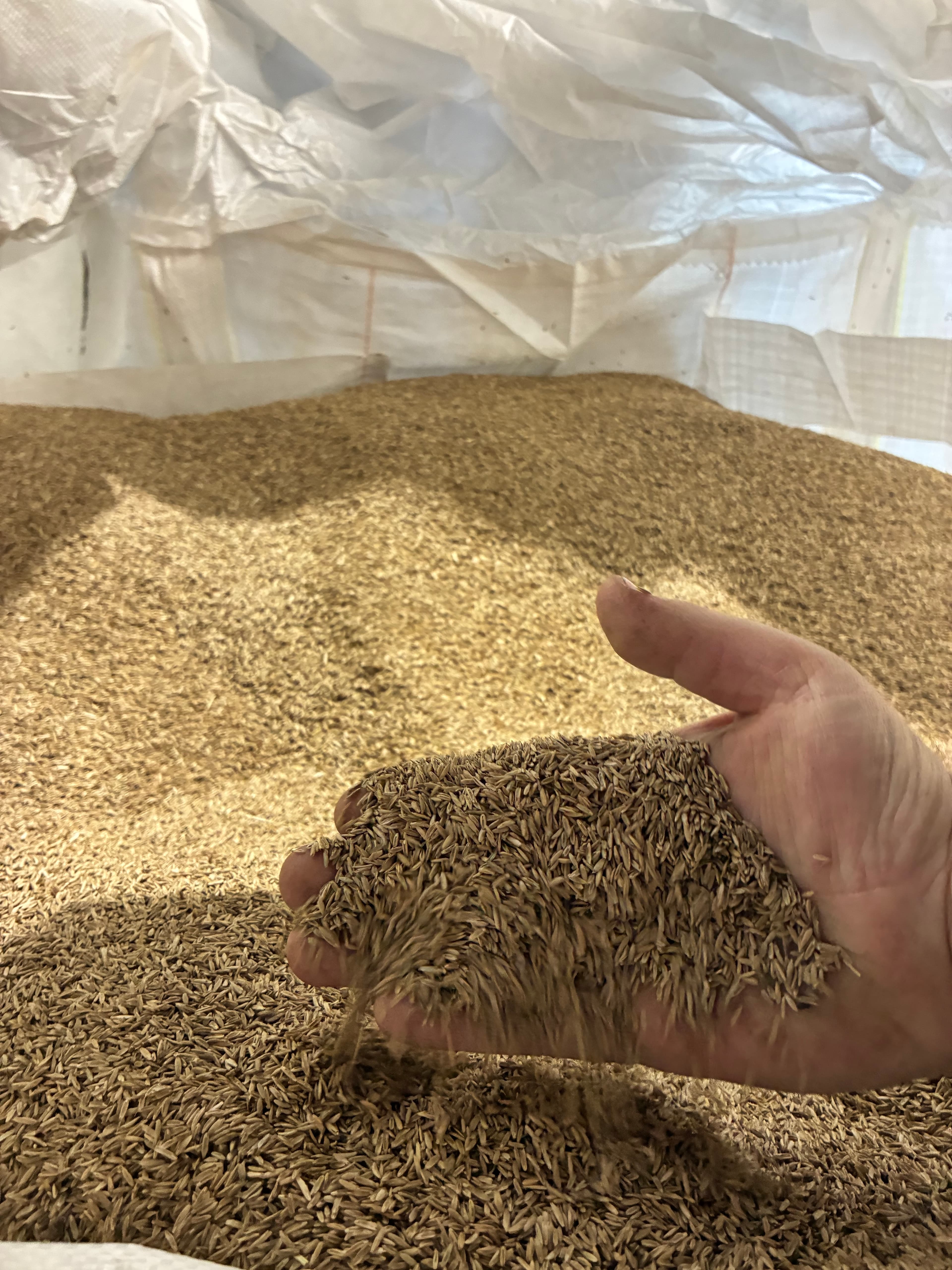 Hand scoops a handful of brown grain from a large pile inside a white bag.