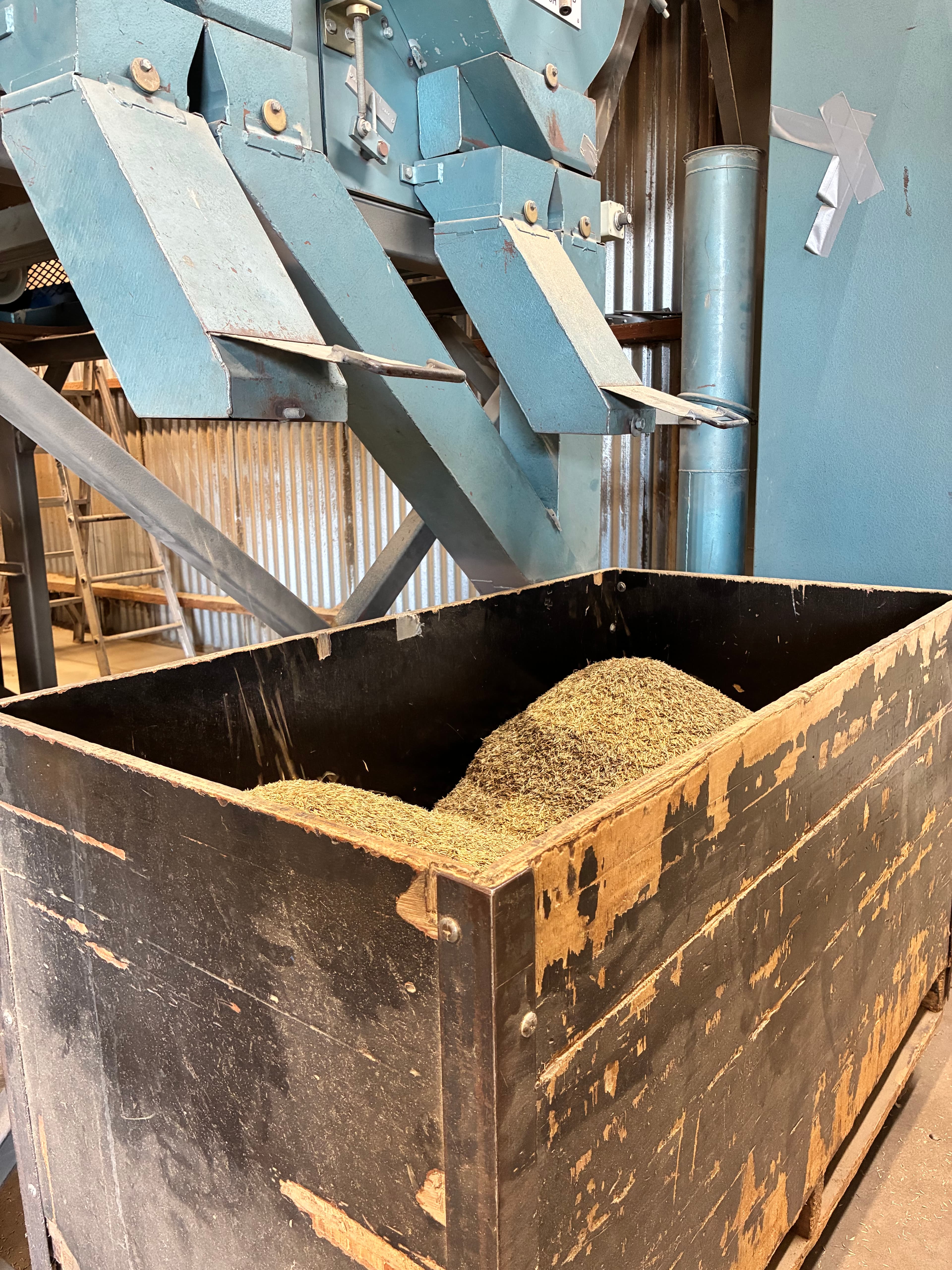 Weathered wooden hopper filled with grain beside blue industrial chutes in a processing plant.