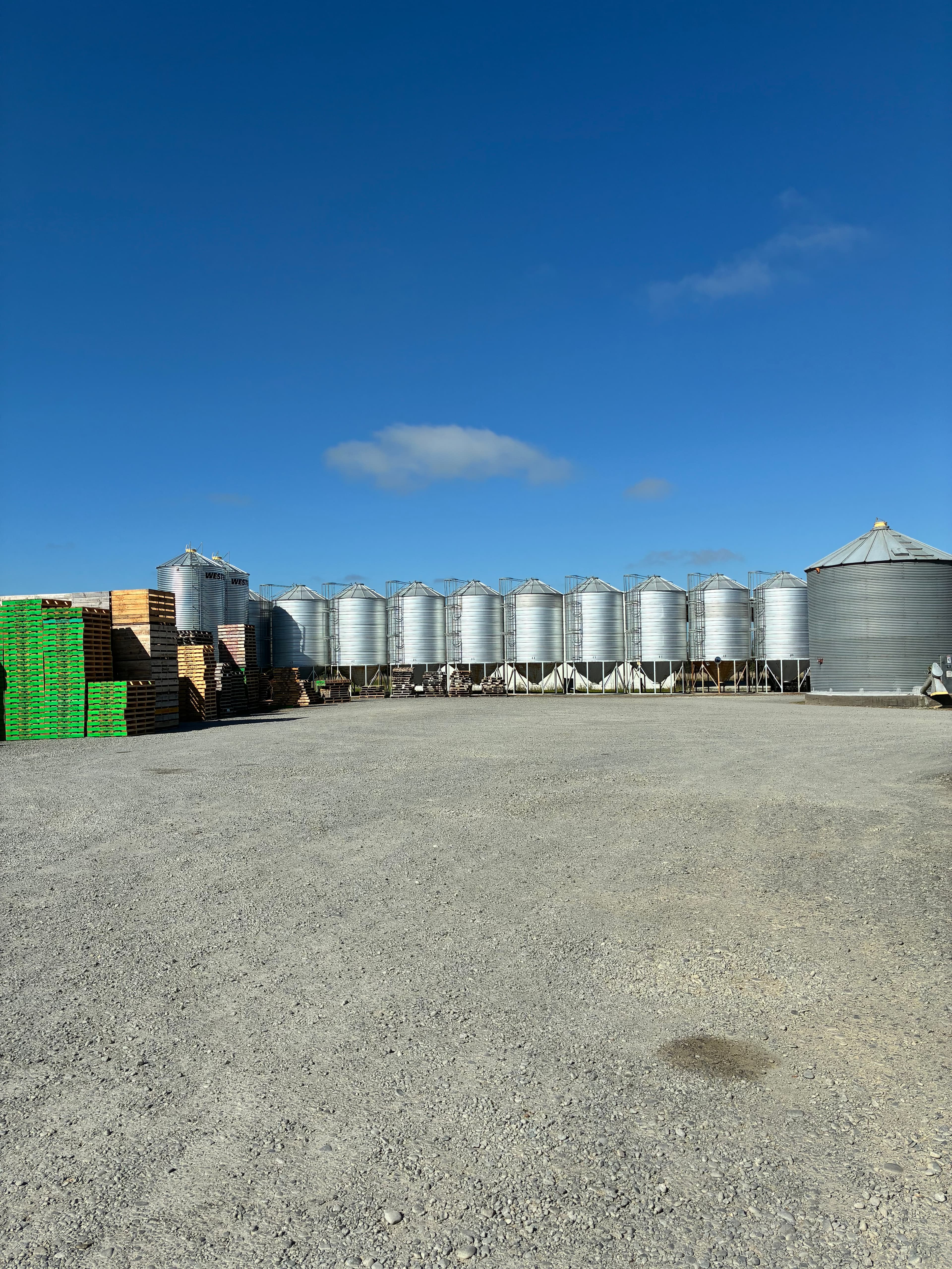 Row of silver metal grain silos under a clear blue sky with stacked pallets.